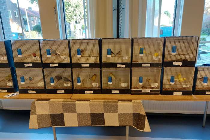 12 september, vogelbeurs de vogelvrienden goes