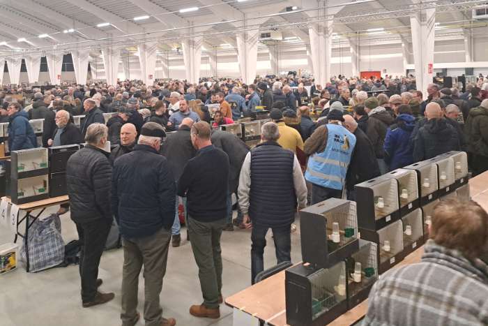 grote internationale vogelbeurs putte, 20 september 2026