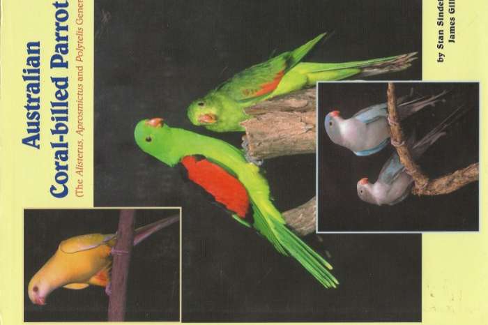 australian coral-billed parrots
