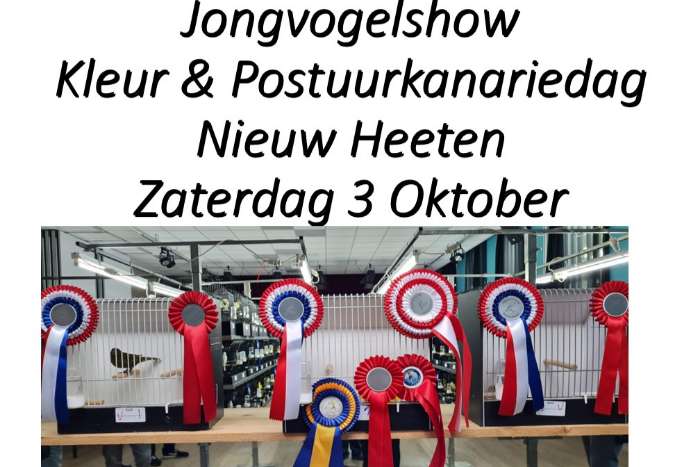 kleurkanarie en postuur jongvogeldag