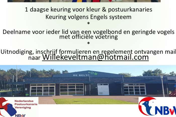 kleurkanarie en postuur jongvogeldag
