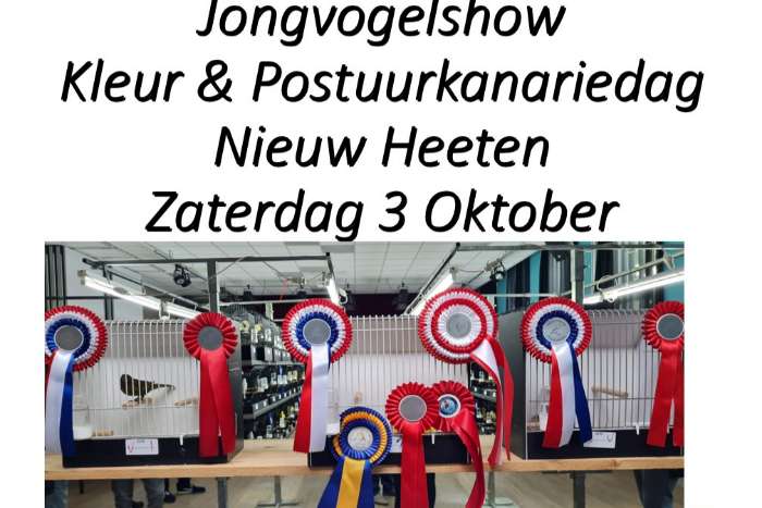 jongvogeldag postuurclub rayon oost