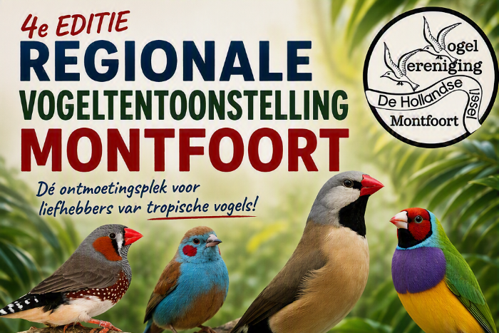 regionale vogeltentoonstelling montfoort! doe jij ook mee?