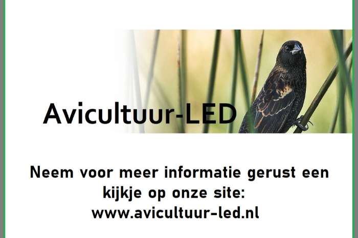 bezoek onze stand op de vogelbeurs in putte op 20 september