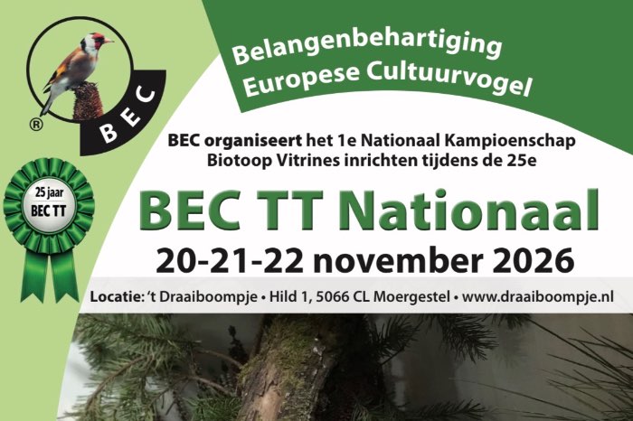 1e nationaal kampioenschap biotoop vitrines inrichten bec tt