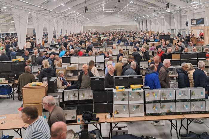 grote internationale vogelbeurs putte, 20 september 2026