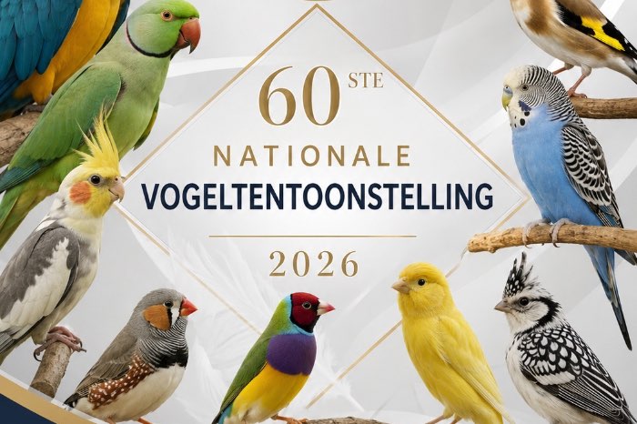 60 ste nationale vogeltentoonstelling tvvtiel