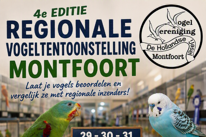 regionale vogeltentoonstelling montfoort! doe jij mee?