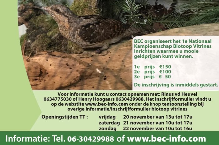 1e nationaal kampioenschap biotoop vitrines inrichten bec tt