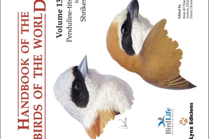 handbook of the birds of the world, pendule-tits to shrikes