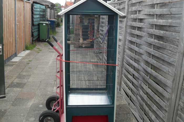 heel veel vogel spullen