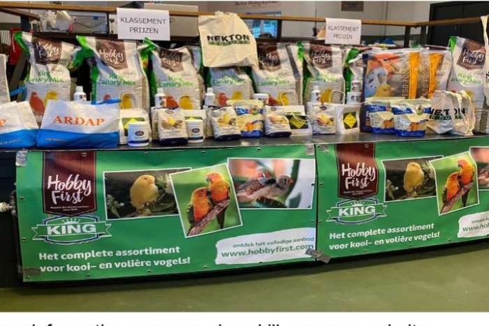de grootste eendaagse postuurkanarieshow in nederland,