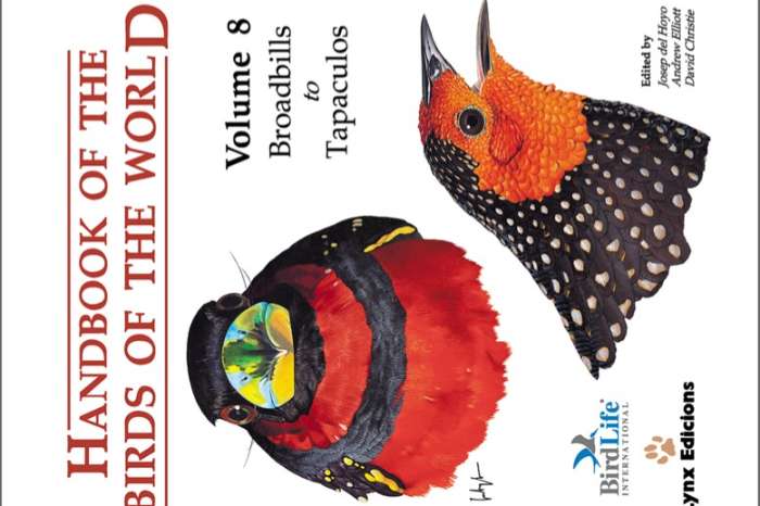 handbook of the birds of the world deel 8, broadbills to tapacul