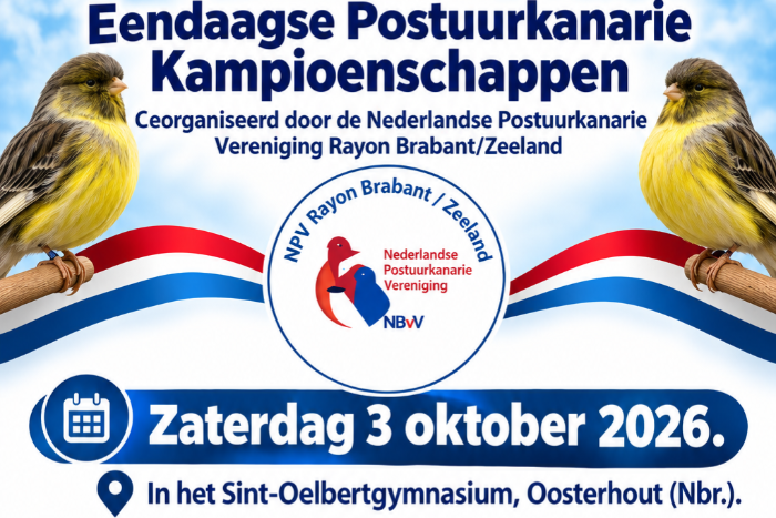 u kunt nog 4 dagen inschrijven voor eendaagse postuurkanarieshow