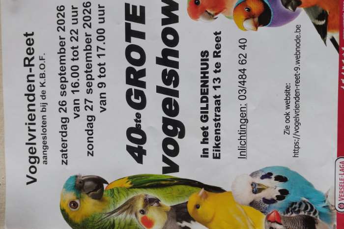 vogelshow