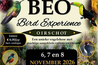 best bird show off europe de b.e.o