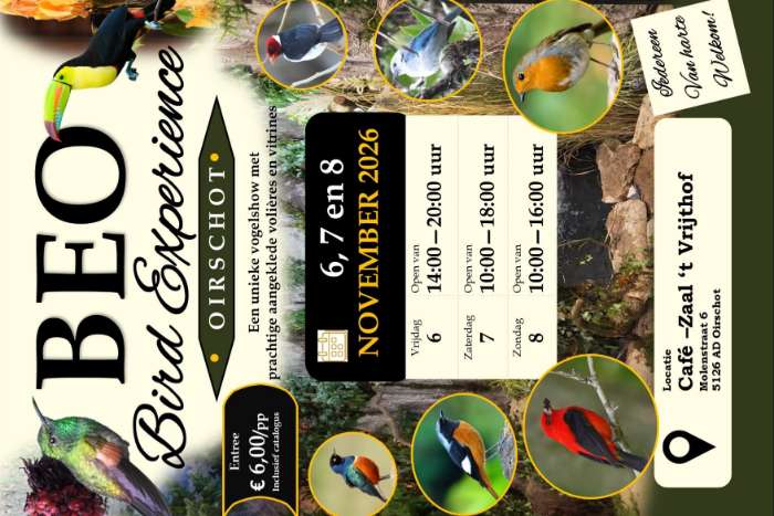 best bird show off europe de b.e.o