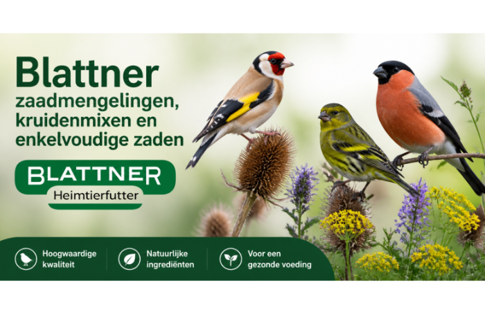 nieuw in ons assortiment: blattner
