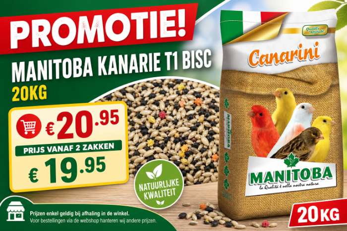 kanarievoer aan absolute bodemprijzen!