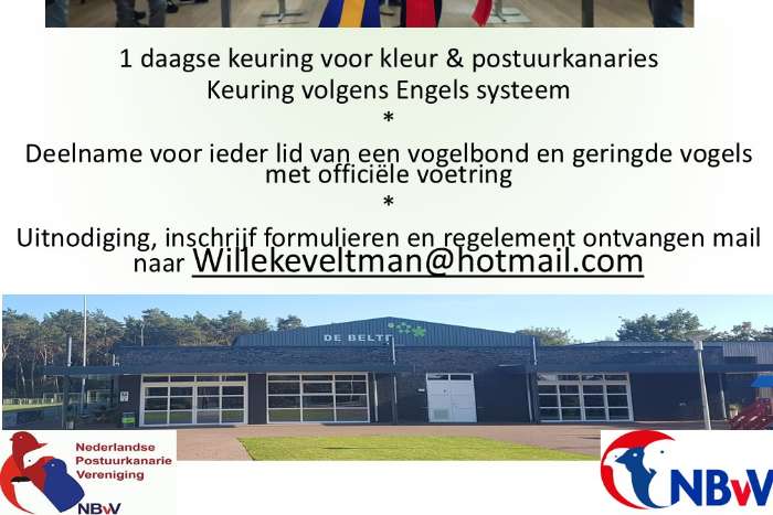 jongvogeldag postuurclub rayon oost