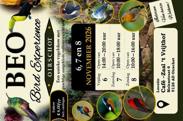best bird show off europe de b.e.o