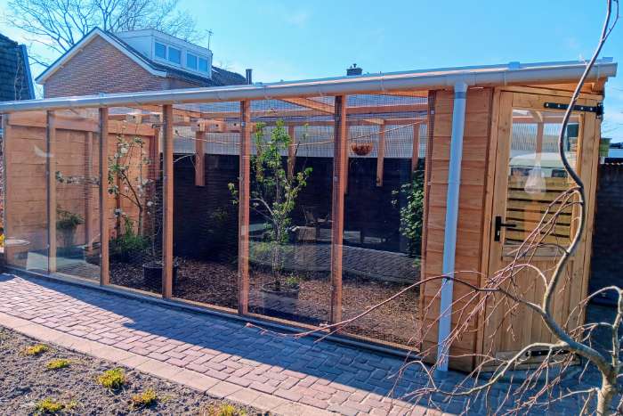 koudkweek natuurbroed gouldamadines te koop