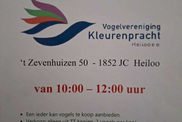 div parkieten20 september in heiloo