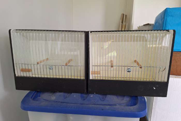 tt kooien met plexiglas kapje en transporthoes