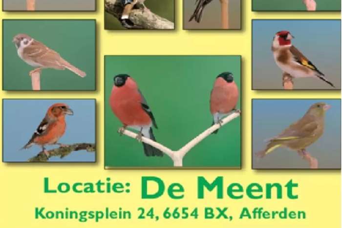 grootste europese cultuurvogelshow van nederland
