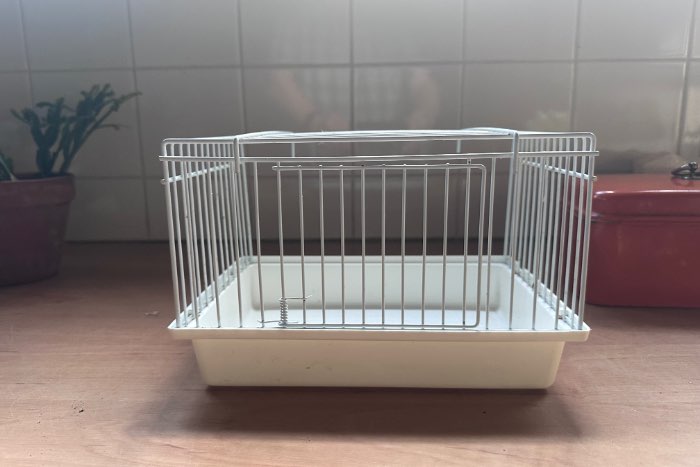 4 baby kooitjes te koop