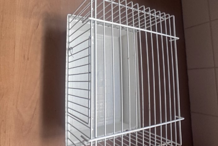 4 baby kooitjes te koop