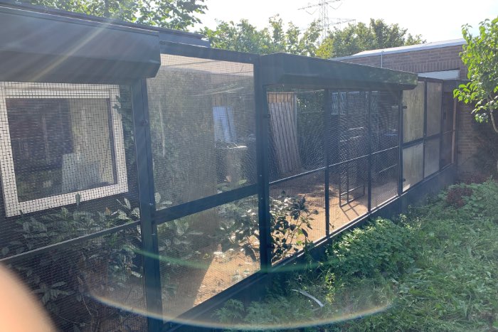 grote volière in antraciet grijs aluminium met zwart fijn gaas