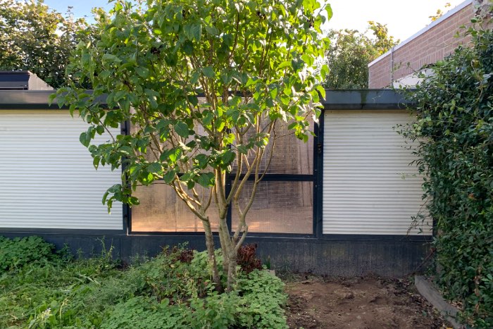 grote volière in antraciet grijs aluminium met zwart fijn gaas