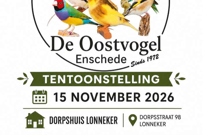 kwaliteit te bewonderen in lonneker