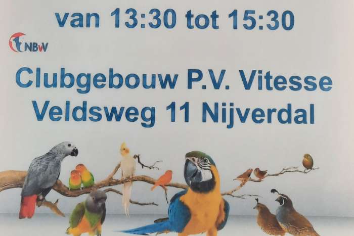 vogelmarkt nijverdal