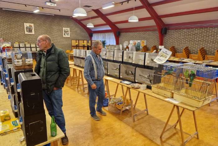 vogelruilbeurs vv de kolibri noordwijkerhout 13.00 - 14.30 uur