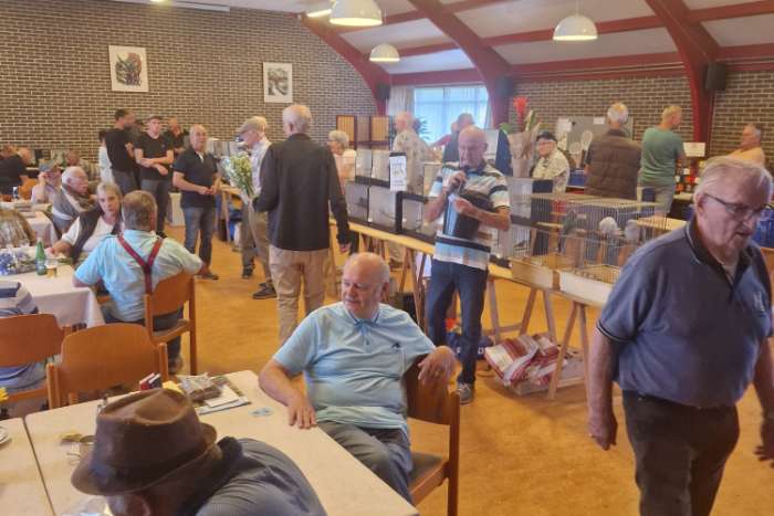 vogelruilbeurs vv de kolibri noordwijkerhout 13.00 - 14.30 uur