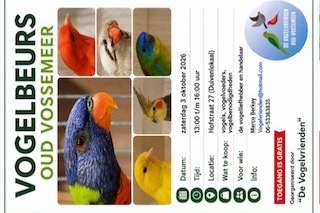 vogeltentoonstelling oud vossemeer week 45