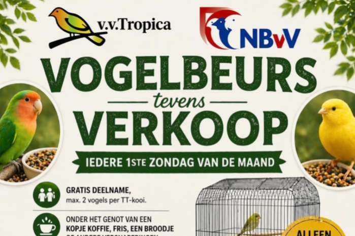 kanarie/tropen/parkieten