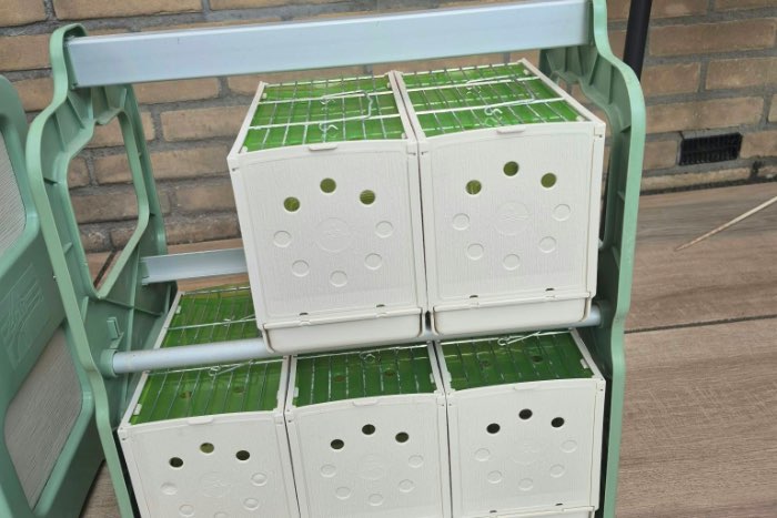 com kooitjes