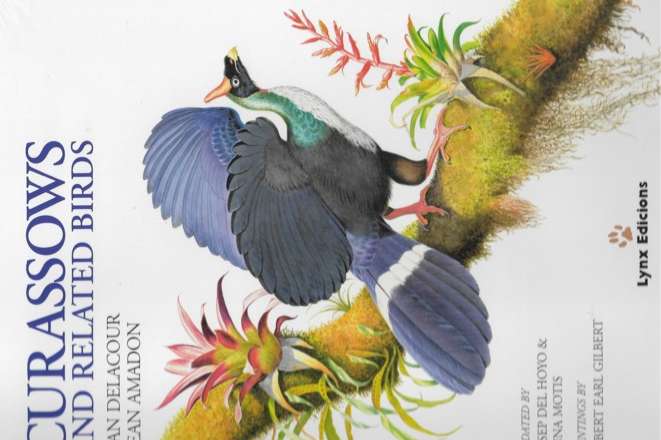 curassows and related birds
