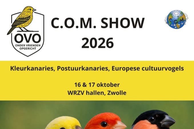 com show met europees kampioenschap