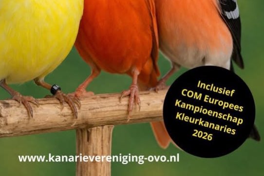com show met europees kampioenschap