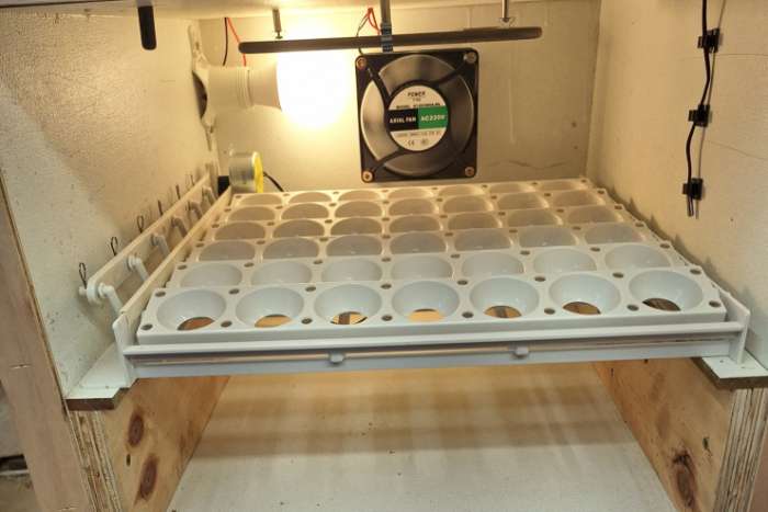 halfautomatische broedkast