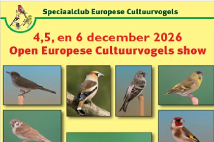 de show die je niet mag missen