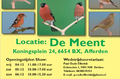 de show die je niet mag missen