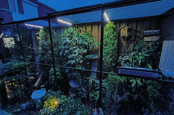 avicultuur-led dimmers voor 'n goed dag/nachtritme