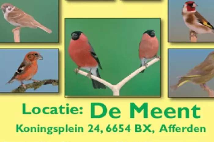 grootste europese cultuurvogelshow van nederland
