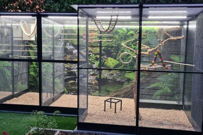 led installatie op maat voor uw vogelkooi(en)
