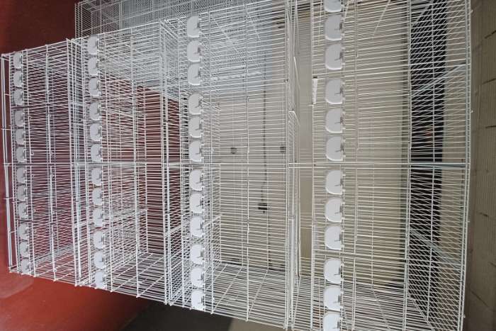 10 draadkooien te koop
